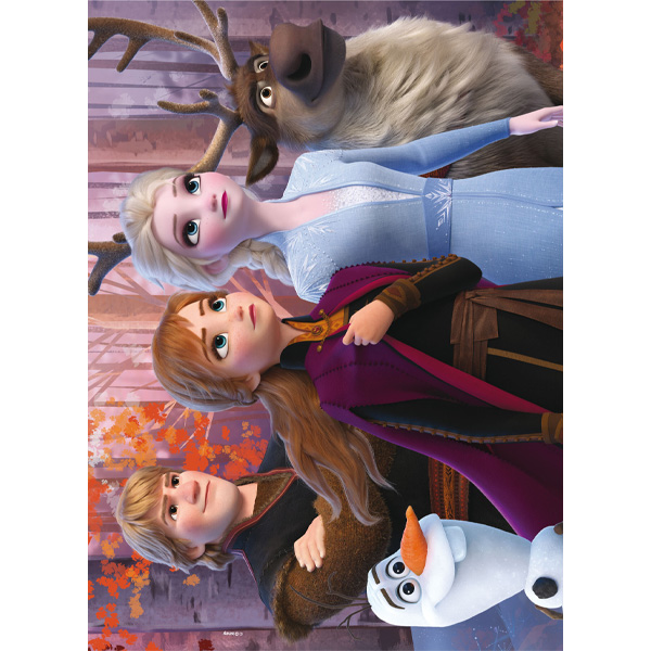 DISNEY PUZZLE DF MAXI FLOOR 24 FROZEN 2 - Giocheria
